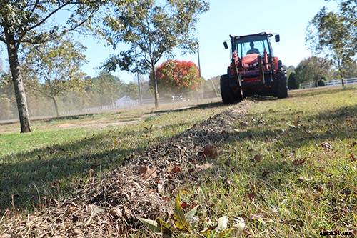 A shaking good harvest