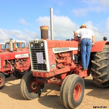 International Wheatland 1206