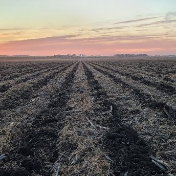 Strip-till on a budget