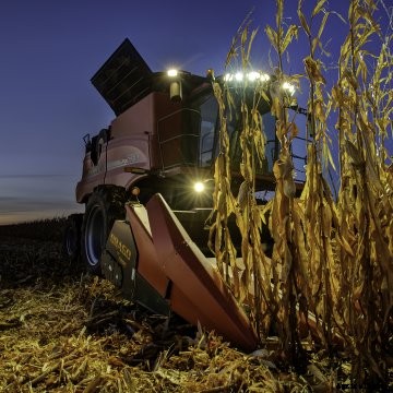 Case combine harvesting near sunset.
