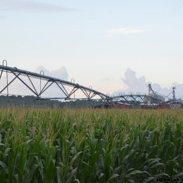 28306irrigation