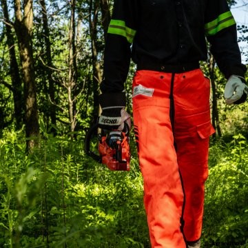 A person walks through the timber carrying an ECHO chainsaw