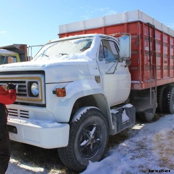 Straight truck at auction