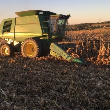 A John Deere combine harvesting corn.