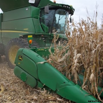 A medium shot of a John Deere combine harvesting corn.