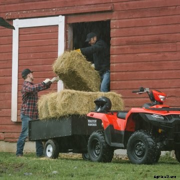 Kingquad-Hay