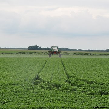 A John Deere sprayer in a soybean field.