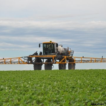 A Hagie sprayer in a soybean field.