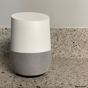 White Google Home device sitting on a counter