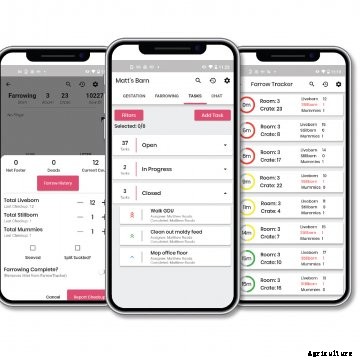 SwineTech empowers workers to improve the health and well-being of pigs