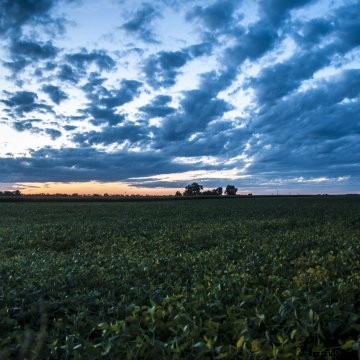 Kebotix combines data, artificial intelligence, and robotics to accelerate the synthesis of new molecules within Bayer Crop Scie