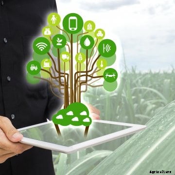 A farmer in a field holding a tablet, illustrating smart farming.