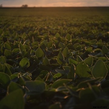 28634riskfreefarming