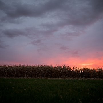 Weather forecasting data to be integrated with BASF Digital Farming’s agronomic decision engine by end March 2021