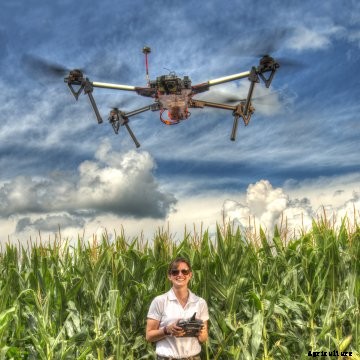 A woman flying a drone over a corn field.