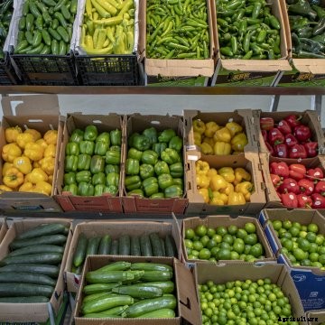 Fresh produce in boxes