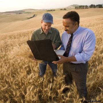 Two men stand in a wheat field looking at a laptop