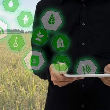 Smart farming showing how technology helps farmers make better decisions.