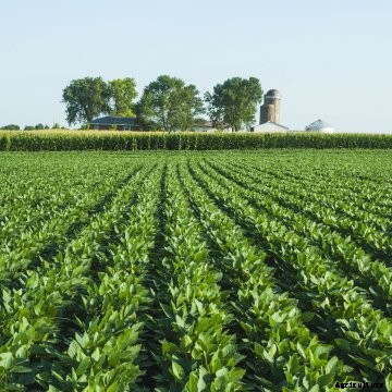 Tech Toolshed can help farmers glean technologies that can best help them grow crops. 