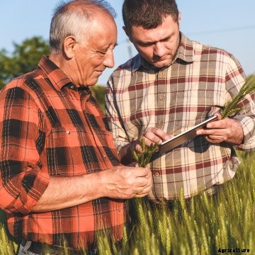 Two farmers using an iPad in a field.