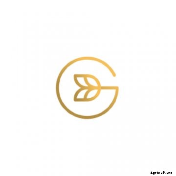 Grain Discovery logo