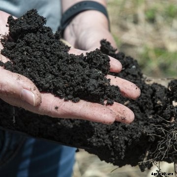 Soil in a persons hand close up