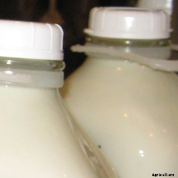 Bottles of milk.