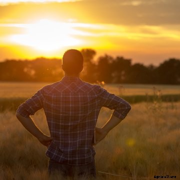 A farmer overlooks his farm as the sunsets.