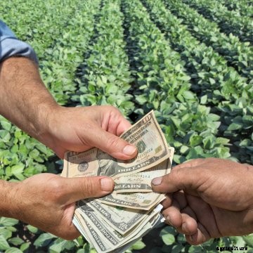 Farmers exchanging money in a soybean field.