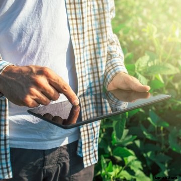 A farmer using a tablet in a soybean field.