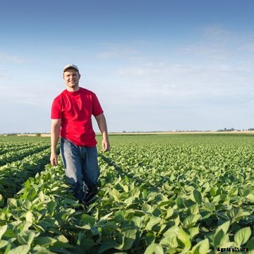A young farmer smiling in a soybean field.