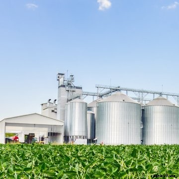 grain bins behind a soybean field