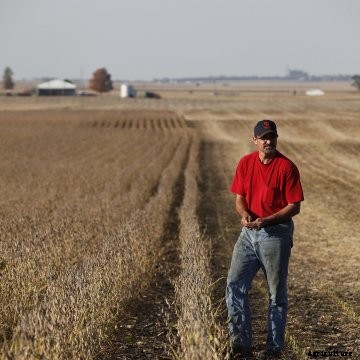 A farmer stops to inspect his soybean field.
