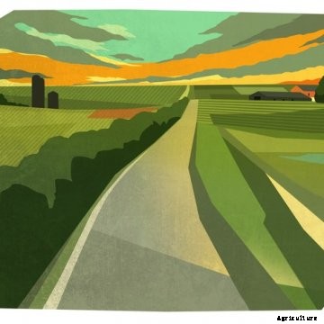 A Farewell From Dr. Jonovic