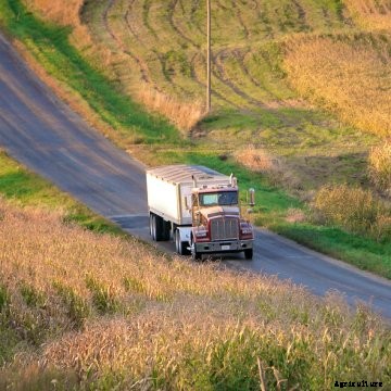 A grain truck on a country road.
