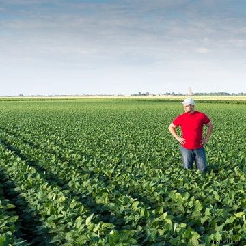 A young farmer in soybean field.