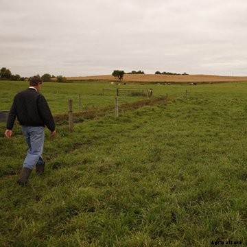 A farmer walking in a pasture with a dog.