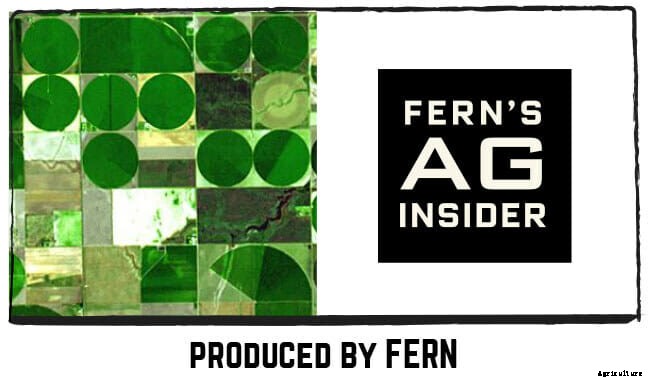 Iowa Farmland Values Rebound After Three-Year Decline