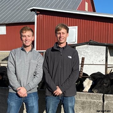 Investment advice for a start-up beef herd