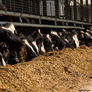 Five key pieces to a successful feed contamination lawsuit