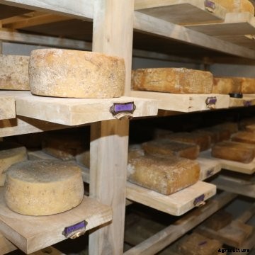 cheese room