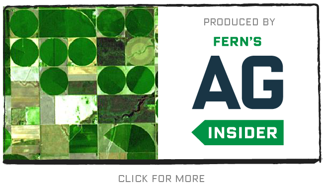 Meat production to rebound sharply after coronavirus slowdown – USDA