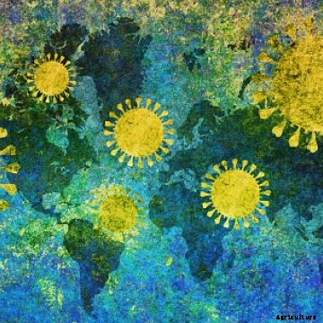 Coronavirus over global map