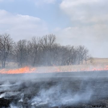 Pasture burning in the Kansas Flint Hills.