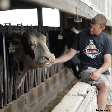 Dairy farmer sitting on a feed bunk petting a cow at Hansens Dairy Farm