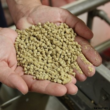 A pig farmer holding feed in his hands.