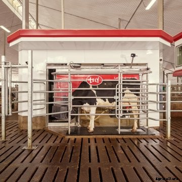 robotics dairy