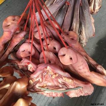 pig noses hanging in Chinese market