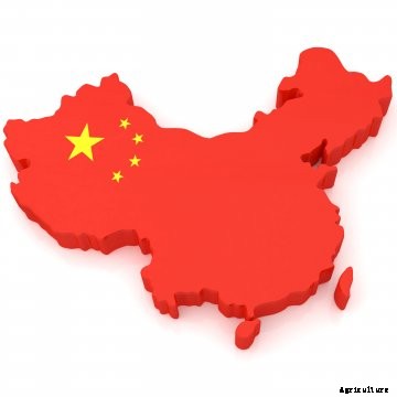 A map of China with the flag.