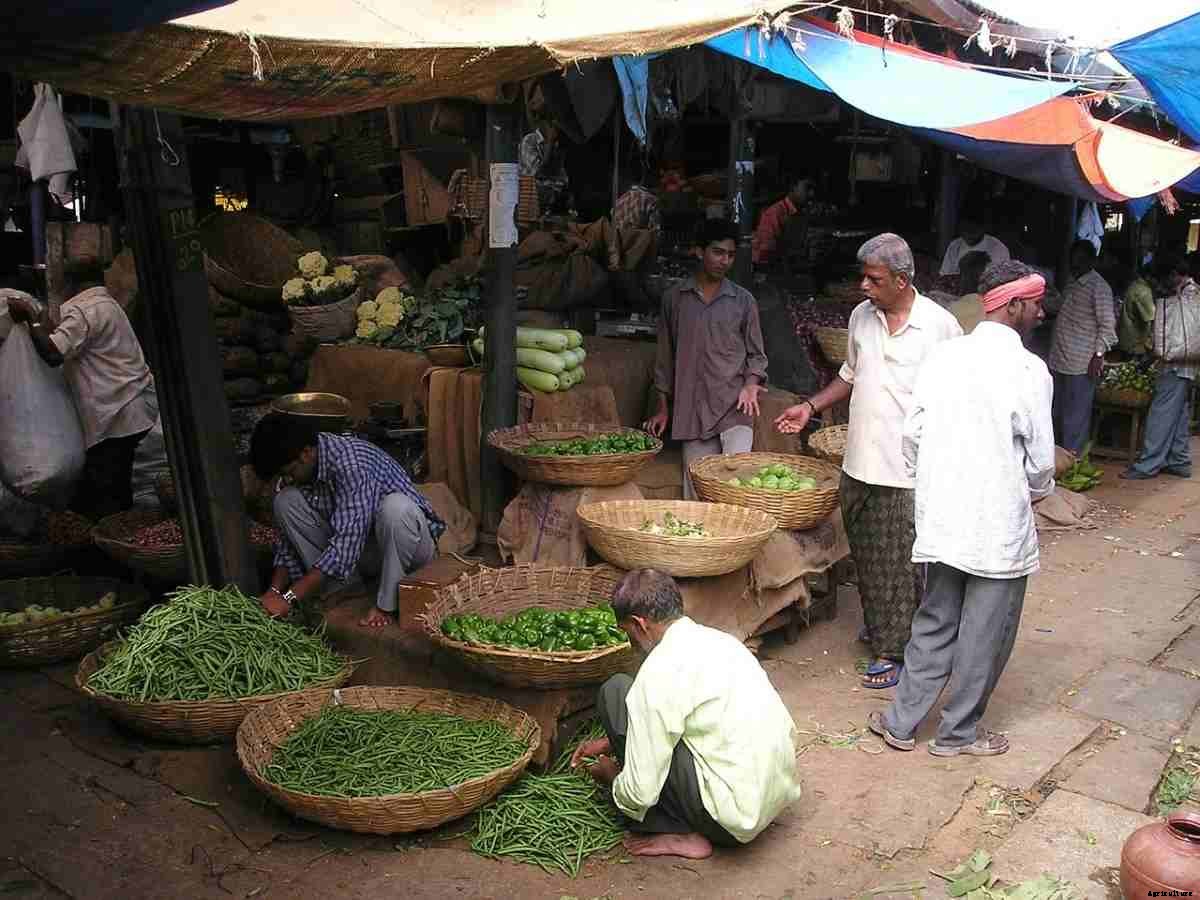 Vegetable Market In India, How To Start Export